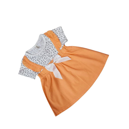 Baby Girl Elegant Frock